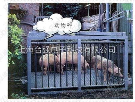 湖南养殖场称猪地磅秤1500公斤动物地磅