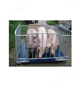 贵州动物称秤|批发1000公斤牲畜磅秤多少钱
