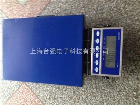 便携式物流秤|上海电子秤厂家