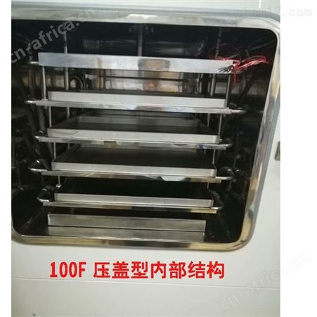 SCIENTZ-100F硅油冷冻干燥机 新芝冻干机