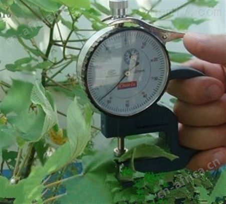 DDY-1植物茎秆强度仪 玉米茎杆测定仪