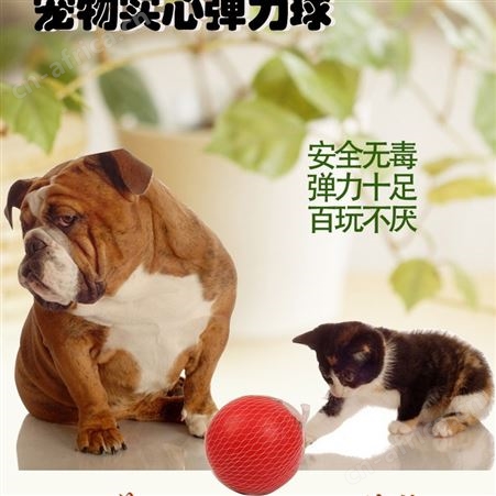 008训狗啃咬球 实心橡胶弹力球宠物玩具球带绳耐咬球弹弹球狗狗玩具