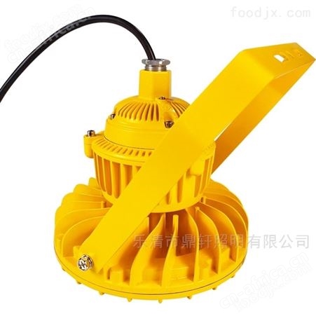 BDE70880W/120WLED免维护防爆灯变电站泛光灯具