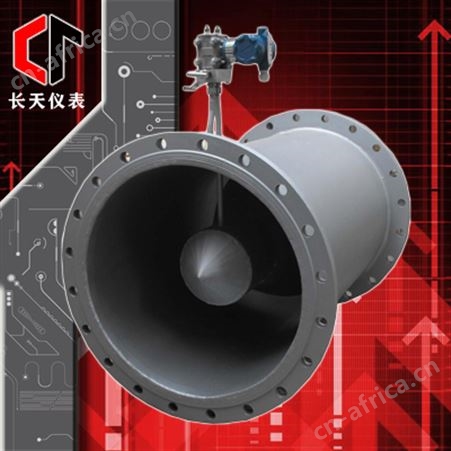V 锥流量计