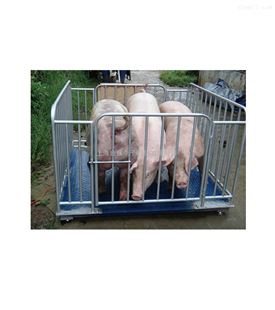 四川称猪的围栏秤价格2000kg牲畜秤多少钱