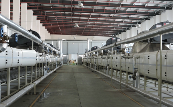 中低温挂面烘干生产线