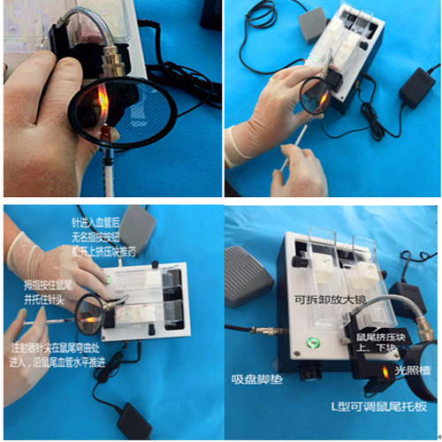 YLSQ9G001.jpg